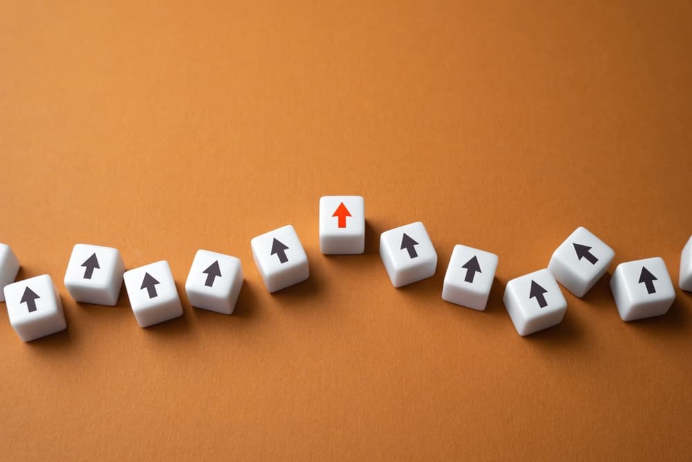 shutterstock 2306204237 (1)