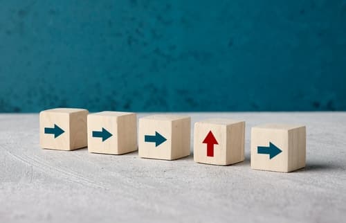 shutterstock 2485319519 (1)