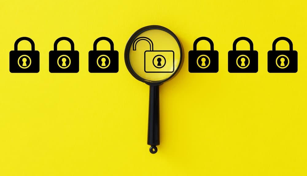 shutterstock 2436658431