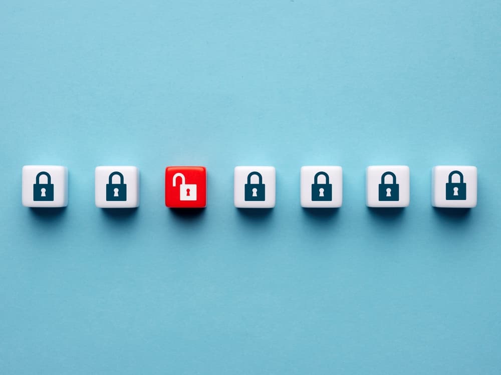 shutterstock 2536907273