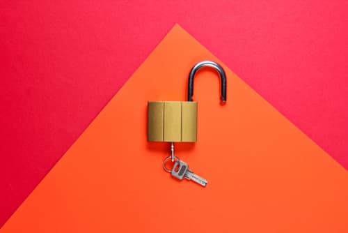 shutterstock 1453727786 (1)