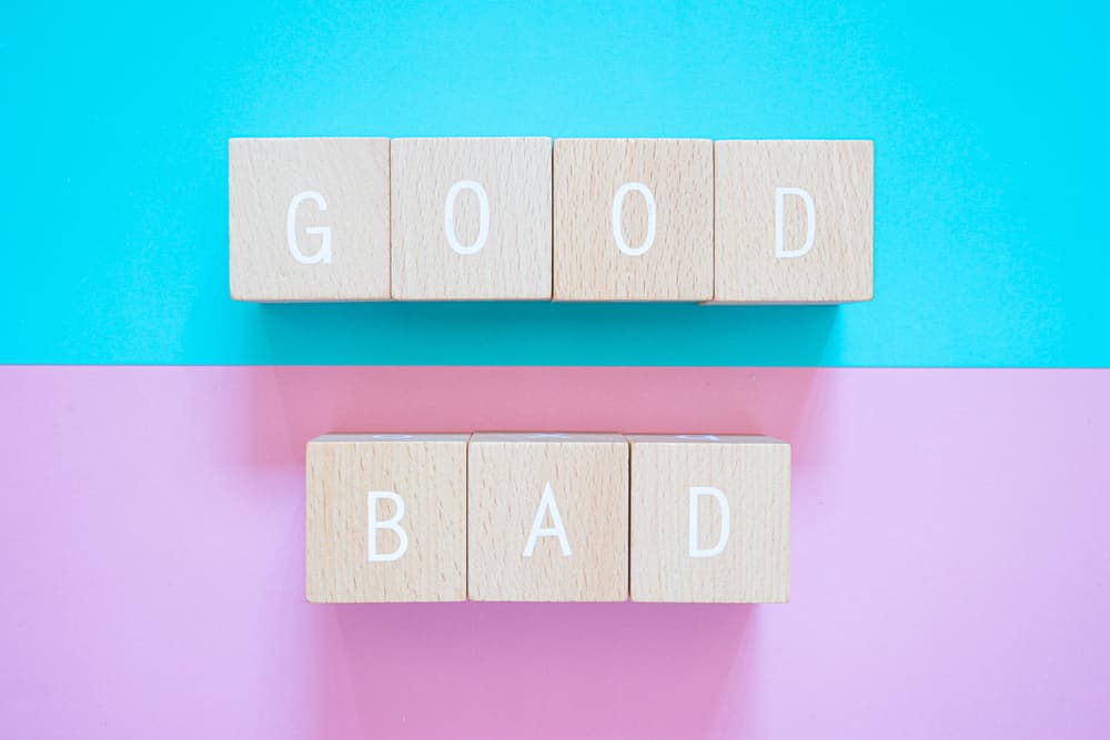 shutterstock 1980829838