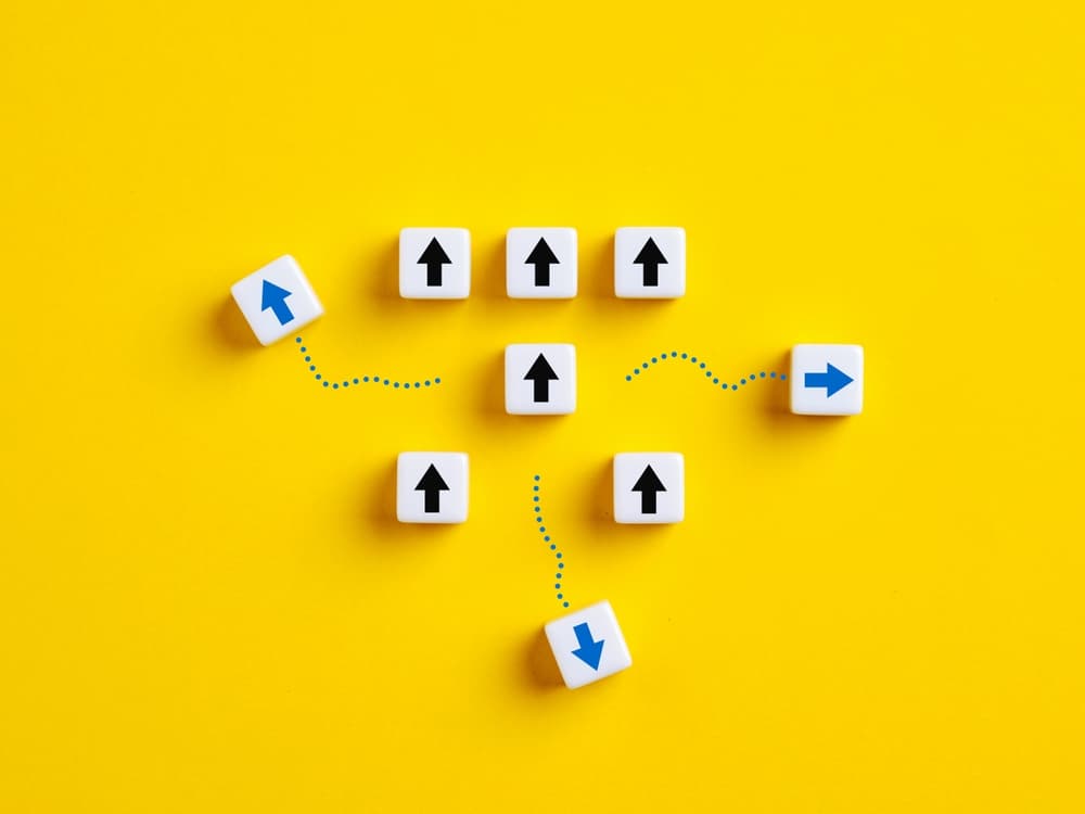 shutterstock 2480059313 (1) shutterstock 2480059313 (1)