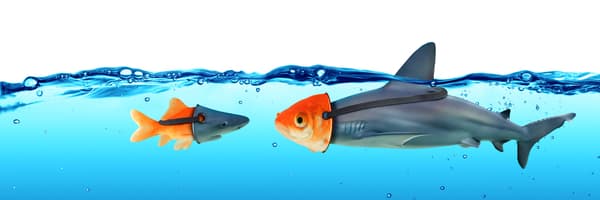 Cyware Daily Threat Intelligence - Featured Image Cyware Daily Threat Intelligence - Featured Image